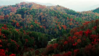 CRYPTID HUNTING THE ALLEGED BIGFOOT CAVE SYSTEM IN EAST TENNESSEE