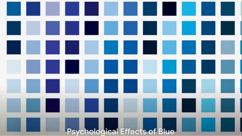 The Science of Colors: How They Impact Us?