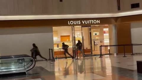 Louis Vuitton BRAZENLY Robbed In Lawless Chicago, Democrat Mayor Does Nothing