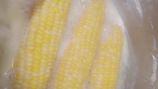 Best corn on the cob EVER!!