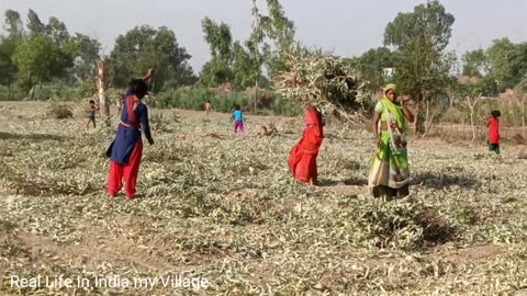 Real Village Conditions Indian woman Morning daily Cooking Routine village Real Life Village Vlogs