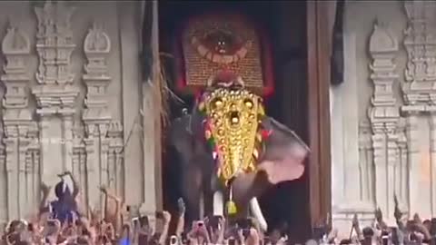 (10 ft 5 in ) born in 1964 popular temple elephant from Kerala.