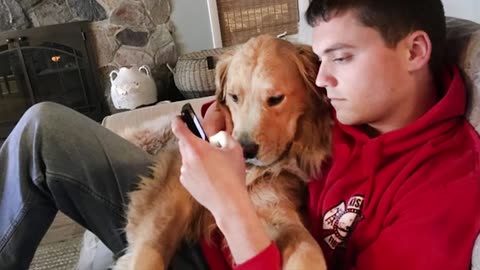 When you're testing my patience 🤣 Funny Dog and Human