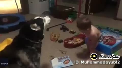 Dog And baby funny video