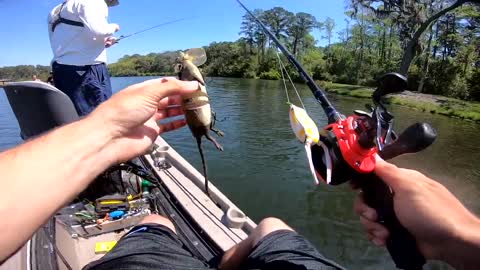 orld's LARGEST Rat Lure Catches GIANT Bass (Lake Fishing)