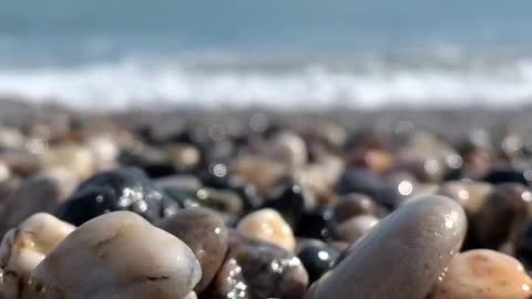 The beach of Oman