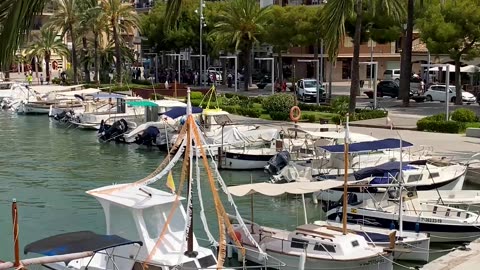 Mallorca - Port d'Alcúdia 🇩🇪♥️🇪🇸