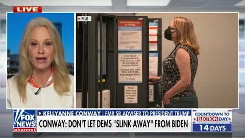 Kellyanne Conway: The Democrats cannot escape this