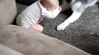 Baby Has a Husky Best Friend