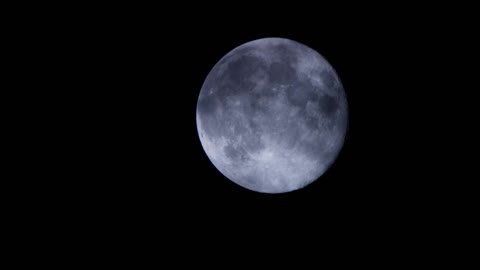 Night Sky Bark At The Moon