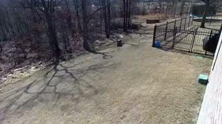 Wind Gusts blow Trampoline across backyard!