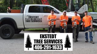 Ekstedt Tree Services