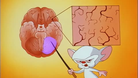 Pinky and the Brain S01E05 Brainstem 1080p UPSCALED
