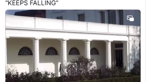 Trump - Keeps Falling