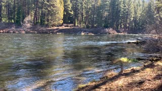 BEAUTIFUL Metolius River National Recreation Area – Central Oregon