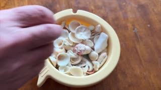 (ASMR) Playing with seashells.