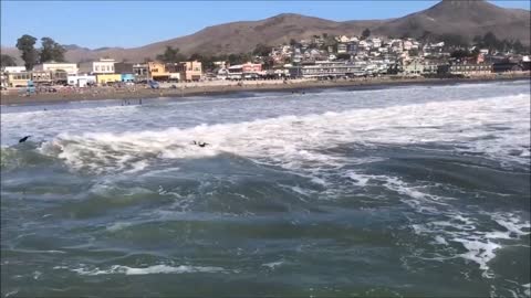 Cayucos Beach Surfing at the Pier