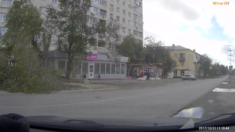 Man Leaves Parking Space And Just Seconds Later, A Tree Crashes Down