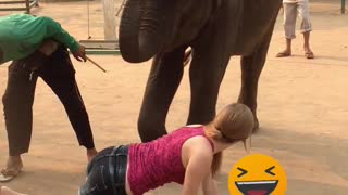 Elephant massage in Thailand ver 2