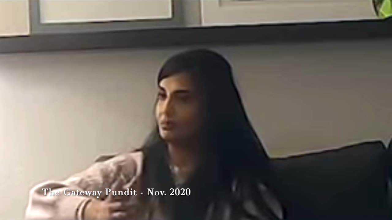 Hima Kolanagireddy Stands Up For MI GOP Poll Challengers Attacked for