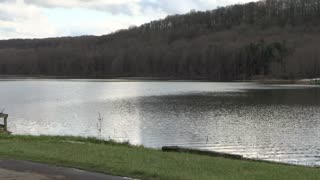 Relaxing by the lake