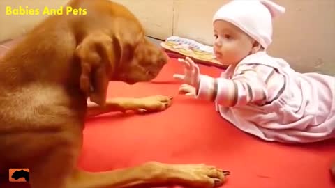 Funny Baby And Vizsla Dogs Playing Together Cute Baby - cuty cuty