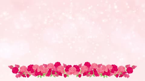 Floral frame on pink blurred lights background, Pink Carnations, Gerbera and Rose HD stock video