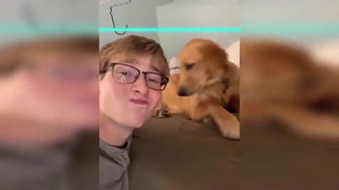 Time Warp Scan TikTok Compilation, but DOGS & CATS