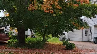 Fall colors showing the glory of God, praise Him as you drive to see.