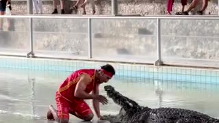 Playing with Crocodiles at Pattaya Crocodile show