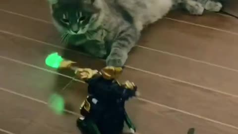 It's the war between robot and cat