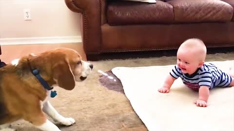 This dog is talking to the baby and it seems to be fun 😂