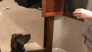 Dog Didn’t Know Her Mom Is a Magician