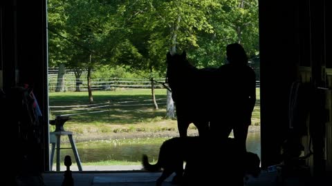 Silhouetted woman in farm stables gently pets adult horse
