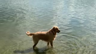 River Swimming