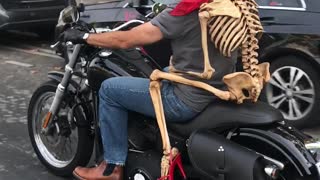 Motorcycle Passenger is Bad to the Bone