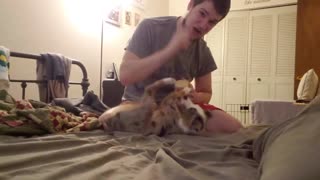 Coco Plays with Daddy on the Bed