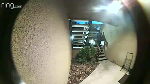 Ring's Video Doorbell Two-Way Talk Helped keep This Stranger From Leaving With a Package