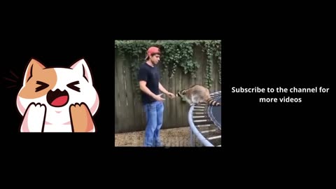 😂funny animal videos that i found for you 😂