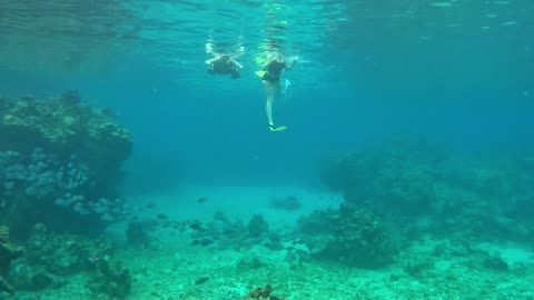 Snorkeling with Ami & Mandy Roatan Honduras April 2024