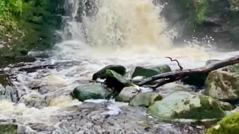Nature water falls