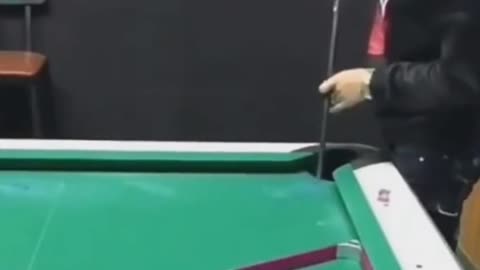 cat plays billiards