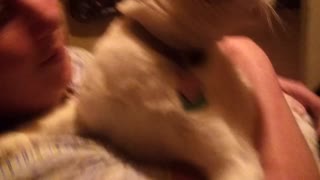 Possessed Cat Speaks In Tongues