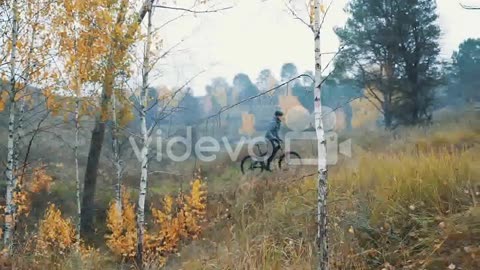 Athlete Man Riding A Mountain Bike In The Forest