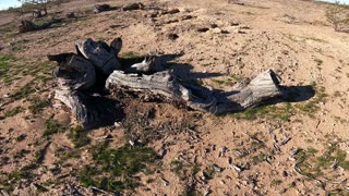 2024: 2- Painted Petroglyph BLM Site