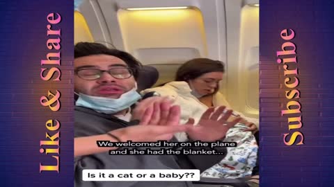 Woman thrown out for breast feeding Cat on Plane (Part One )