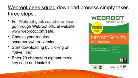 geek Squad Webroot download