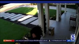 Terrifying moment pickaxe-wielding woman, 65, TWICE smashes up Pasadena home