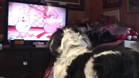 Cartoon Loving Dog