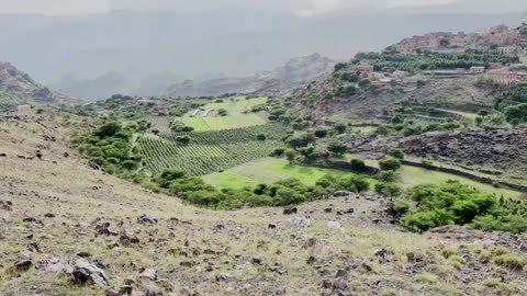 Yemenis turn to rain harvesting to tackle water crisis